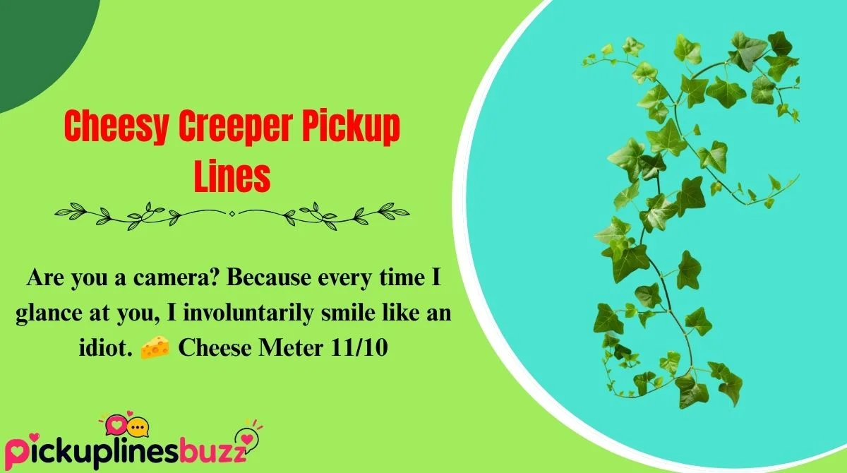 Cheesy Creeper Pickup Lines